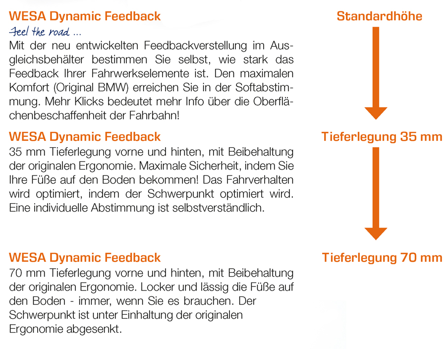 WESA Dynamic Feedback Beschreibung