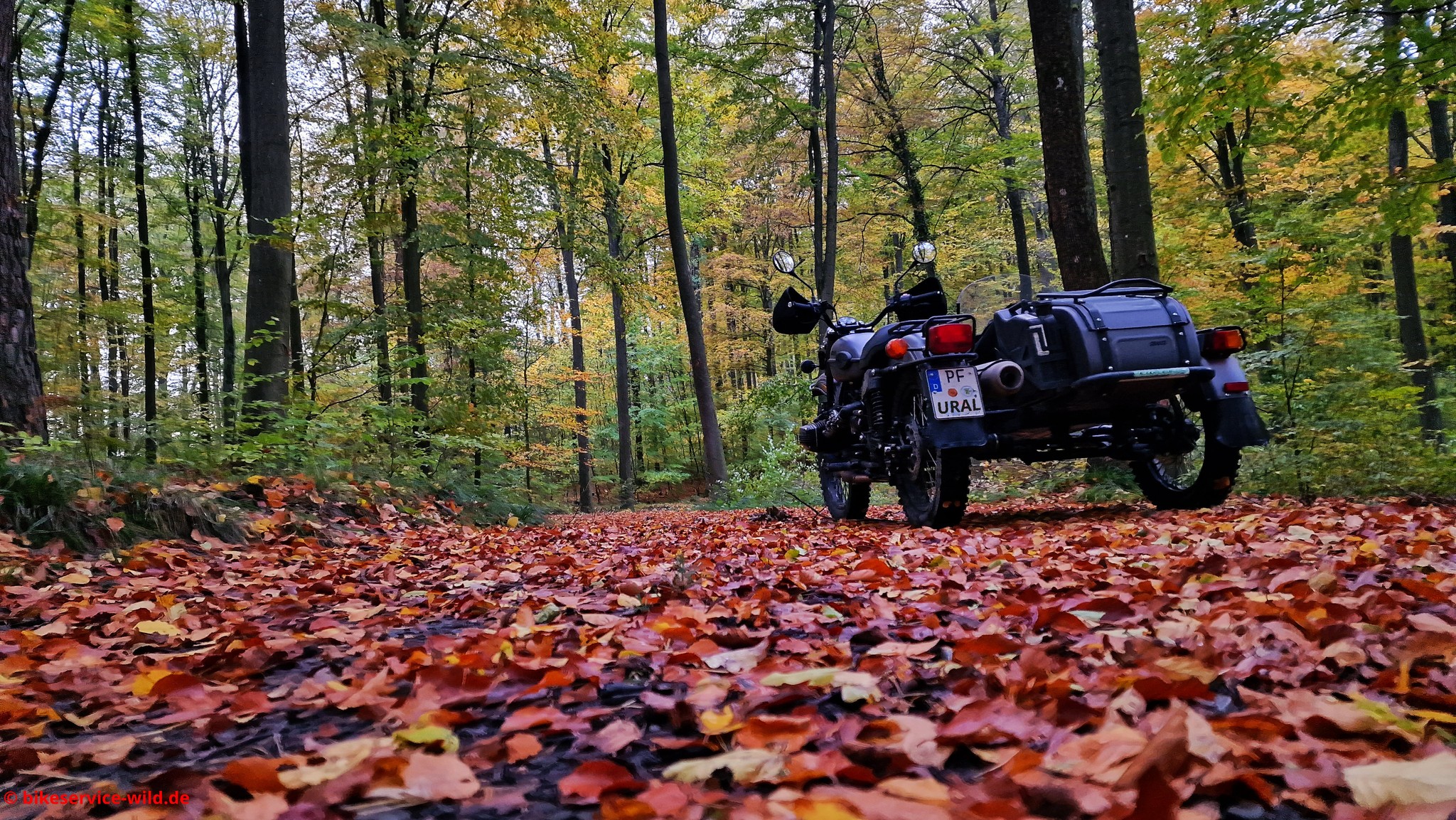 Ural im Herbst